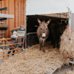 silenceandflow_fa-häckl-weihnachtsmarkt-190