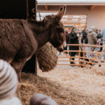 silenceandflow_fa-häckl-weihnachtsmarkt-192