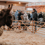 silenceandflow_fa-häckl-weihnachtsmarkt-193